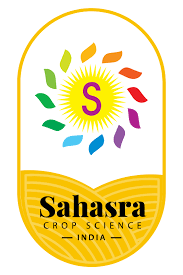 Saharas